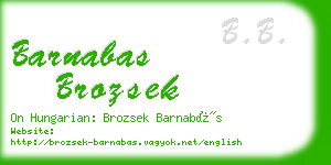 barnabas brozsek business card